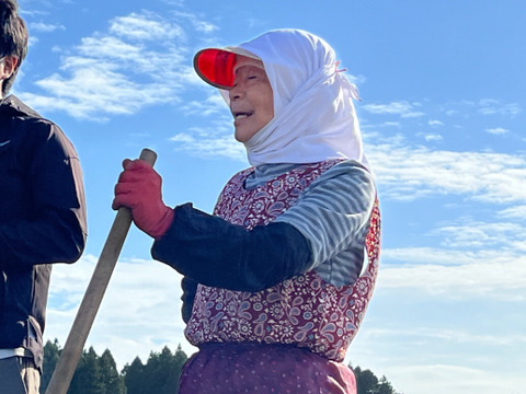 【11月限定】にんにくの王様　青森にんにく『白玉王』特大バラにんにく(500g)