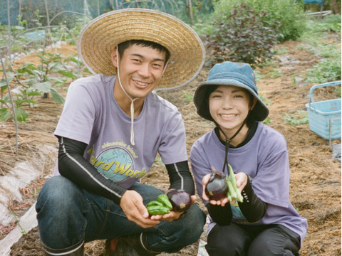 夏の終わり感じる野菜Sセット（１～３人向け）
