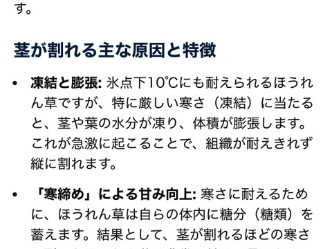 1kg｜信州産｜氷点下で育つ濃厚甘い露地ほうれん草