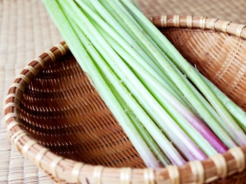 ふき！美味しい！20本   
( フキ  ふき  蕗 )