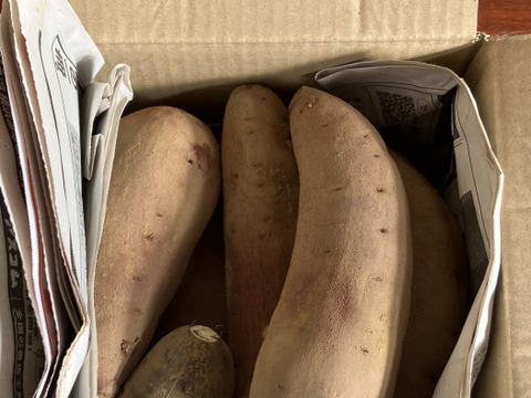 ねっとり系代表❣️千葉県香取市産　S・M
さつまいも極甘！ 【紅はるか】1.5kg