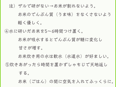 定番のはえぬき新米2kgx2袋 特A米 一等米  無洗米 令和6年山形産