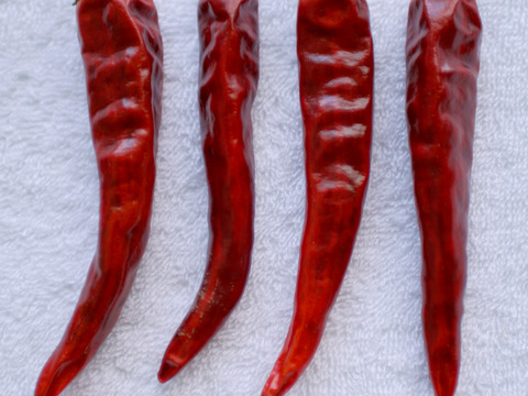 【自然力で育てる生産方法】
岩手伝統野菜の南部大長南蛮🌶️採れたて野菜を乾燥させました。【風味】【甘味】【辛味】の三拍子を備えた唐辛子で冬の時期には欠かせない【身体を温める効果】がありオススメです！