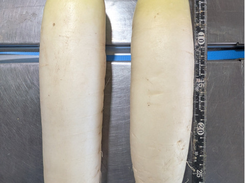 キャベツ、ダイコン、リンゴ