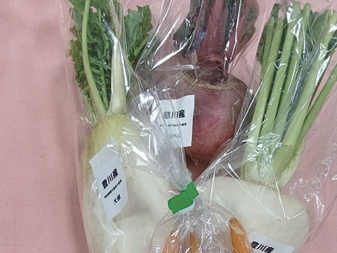 【栽培期間中 農薬・化学肥料不使用】根菜4種セット