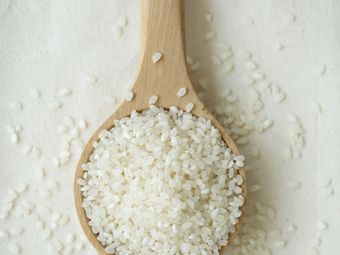 【冬ギフト・グルテンフリー！】はっぴーバウムホールセット
（ソフトプレーンホール1個・ハードプレーンホール1個）