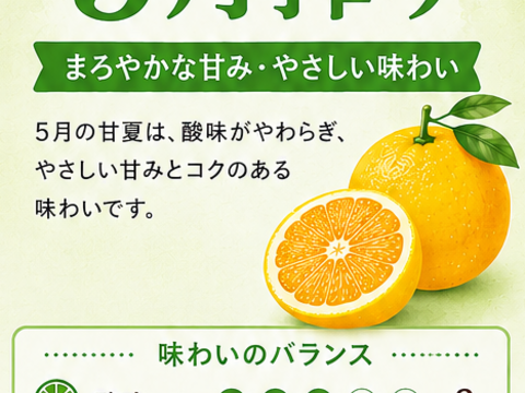 雨夏ジュース “完熟の余韻”飲み比べセット　4月・5月搾り 720ml×2本
