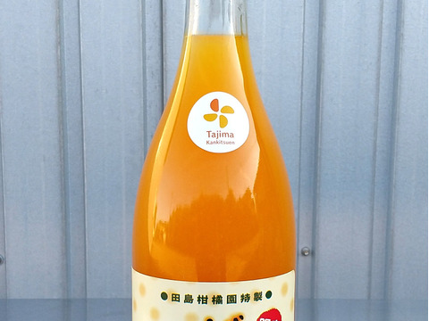 【飲み比べ6本セット】セニョリータ陽子・プリンセスミツコ・ワンダーゆき・おいしい太郎くん・きよみちゃん・がんちゃん　の6本セット