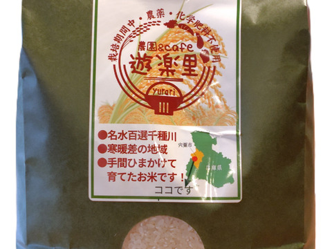 愛情たっぷり！ミネラルたっぷり！コシヒカリ玄米（１０㎏）