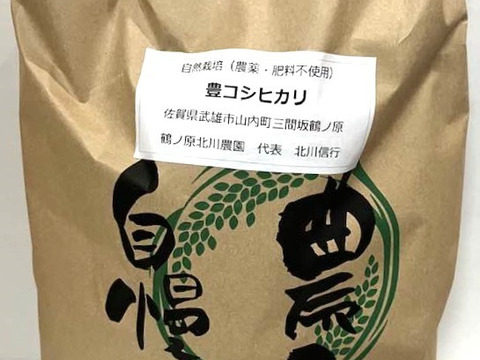 【３月セール】自然栽培「豊コシヒカリ」玄米　１０ｋｇ