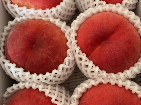 品種指定可能🙆】【ｶﾘｶﾘ硬めもも】品種おまかせ 🍑2キロ 🍑【ご
