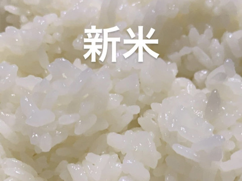甘くてさっぱり! 令和2年山形県産 新米 はえぬき【白米】4.8kg