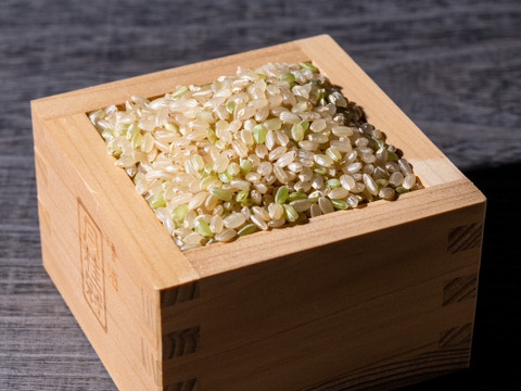 【令和7年産】北海道産 特別栽培米おぼろづき10kg 玄米