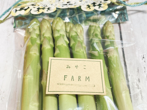 ラッピング仕様の太めアスパラガス!2Lサイズ500g