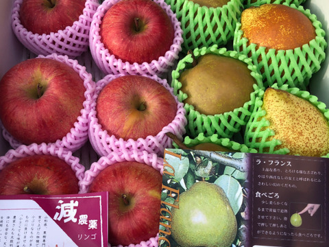 【冬ギフト】農薬節減 フルーツセット 「洋梨 ラフランス」と「ふじりんご」 詰め合わせ 3kg箱まんぱい詰 (2〜4種) ギフト 11月中旬〜