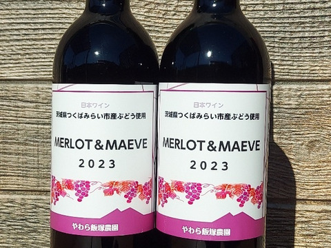 茨城県産のぶどうを使った混醸赤ワイン750ml×2本
