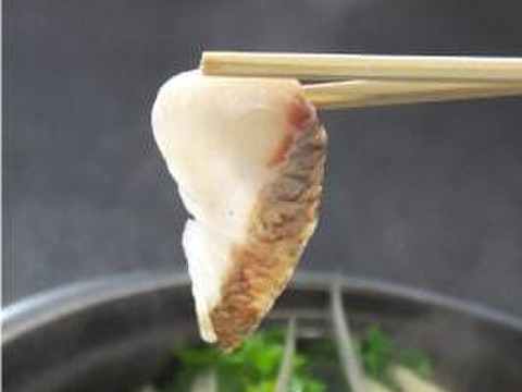 【徳島県産】 天然鳴門鯛「鯛しゃぶセット」（冷凍 3～4人前）