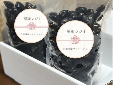 【母の日ギフト】【メッセージカード付き】宍道湖産ヤマトシジミ”感謝シジミ”（特大サイズ・冷凍2kg）熨斗対応可