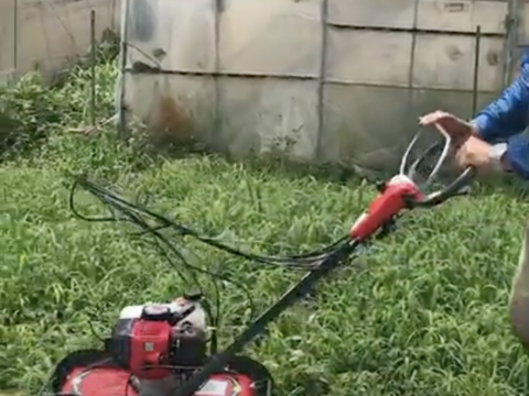 盆休安送込！アスパラ（200g×2袋）化学肥料・除草剤不使用