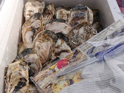 今が旬 海男の殻付き牡蠣 30個 33個入り 佐賀県産 食べチョク 農家 漁師の産直ネット通販 旬の食材を生産者直送