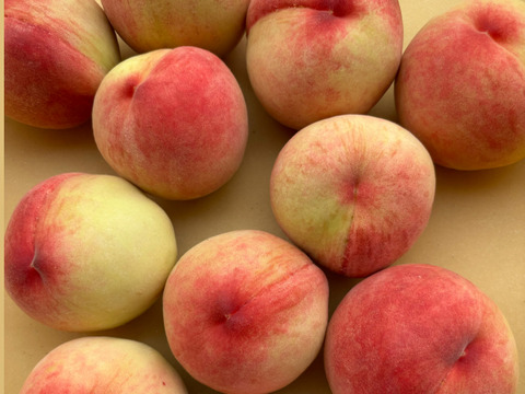 【家庭用】山梨県産　浅間白桃　5～6玉