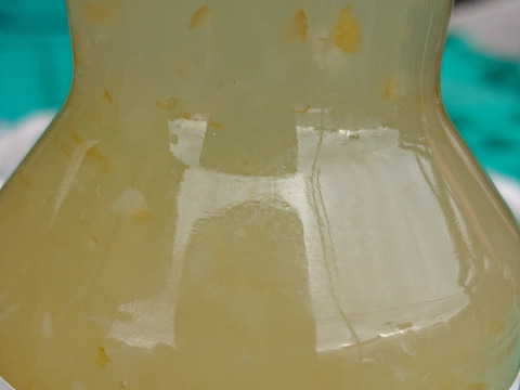 レモンソーダの素【清水日本平檸檬屋オリジナル】日本平ソーラーレモン®️璃の香使用
２本セット
炭酸水と割って手軽にレモンソーダが飲めるフルーツソースです。
ヨーグルトに入れても美味しいです。