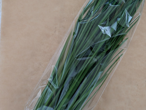 にら（１００ｇ✕５ｐ）