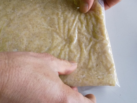 【玄米餅】 今季最終、ご好評で再販  玄米のお餅　おだがけモチ米使用、肥料、農薬不使用、自家たね