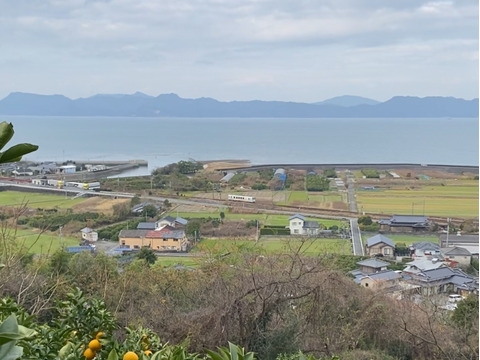 旬の訳ありみかん　9種類！の詰め合わせ　（約12kg）贈答用にも！