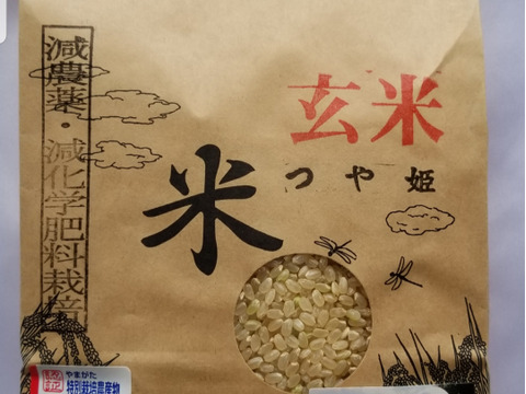 【食べ比べ】令和5年産　玄米2品種食べ比べ　特別栽培米ミルキークイーン　つや姫　各玄米2kg×2　合計8㎏