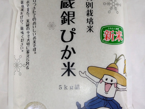 【新米予約】雪蔵銀ぴか米（コシヒカリ）5㎏
