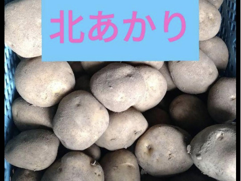 【熟成甘い】北あかり北海道　じゃがいも　8kg  ジャガイモ　ほくほく　旨い！