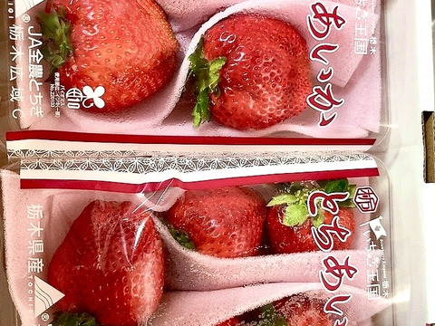 特大(2P) 500g以上【いちご・とちあいか】どでかいビックリサイズ厳選