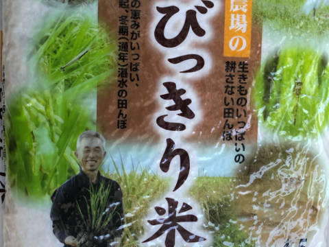 楽天市場】【 令和6年新米 】高知県産 コシヒカリ 減農薬栽培米