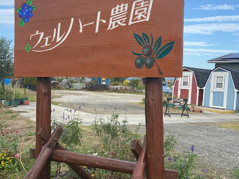 【なか様専用】冷凍ブラックベリー1㎏＆冷凍ウルトララズベリー1.2㎏