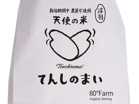 新米！福岡県産元気つくし農薬不使用真空パック１㎏×3