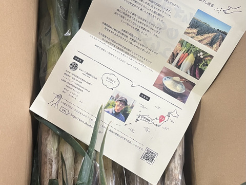 採れたて瑞々しい長ねぎ たっぷり4kg　【冬ギフト】