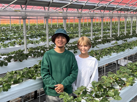 【お歳暮・ギフト用】奈良ブランド「古都華」L（18粒）×２　平均糖度１５度　いちご