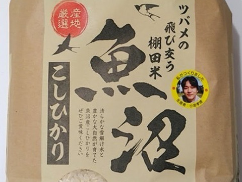 R6年新米　魚沼産コシヒカリ　ツバメの飛び交う棚田米　精米　5Kg