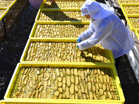 食べやすい！茨城県産紅はるか切り落とし干し芋400g×２袋　ネコポス