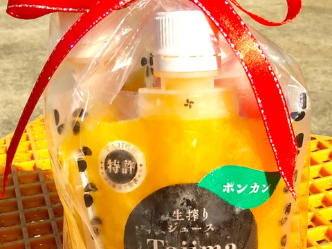 【母の日ギフト、冷凍ジュース】　クレメンティン・ブラッドオレンジ・ポンカンの完熟生絞り冷凍ジュース150㎖　３個セット