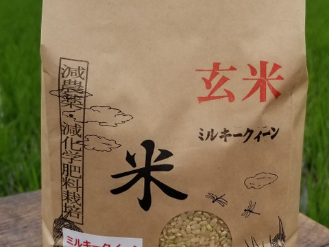 【食べ比べ】令和5年産　特別栽培米ミルキークイーン精白米5kg　特別栽培米ミルキークイーン玄米2kg