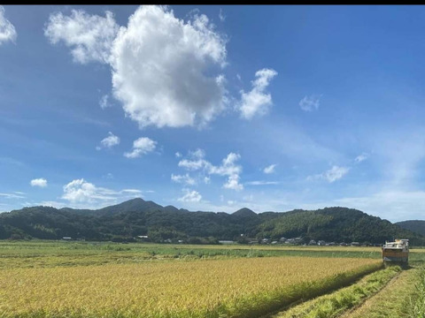 【朝市限定】訳あり　特別栽培次郎柿2.3kgと新米コシヒカリ1.8kg