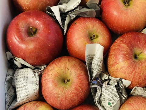 まるせい果樹園の節分りんご　訳あり　3㌔　自家用　家庭用 hs2