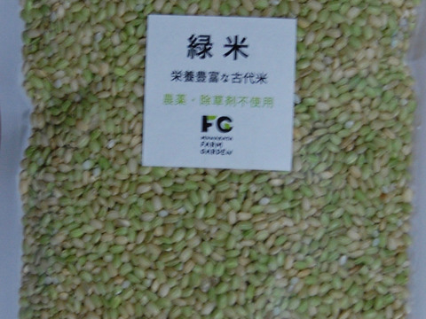 古代米「緑米」もち玄米(300g) リンゴガイ農法で安全・安心・美味の新米