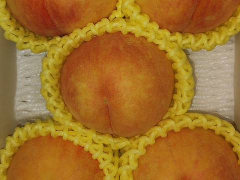 お買い得！まるせい果樹園の桃　極晩生種【おまかせ】1kg(4～6玉入り)自家用　贈答用　om6