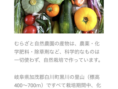 冷蔵便【農薬化学肥料不使用】むらざと自然農園　野菜セット(7品目+おまけ)岐阜県加茂郡白川町黒川　サイズ80の箱に旬のお野菜をお届けします！