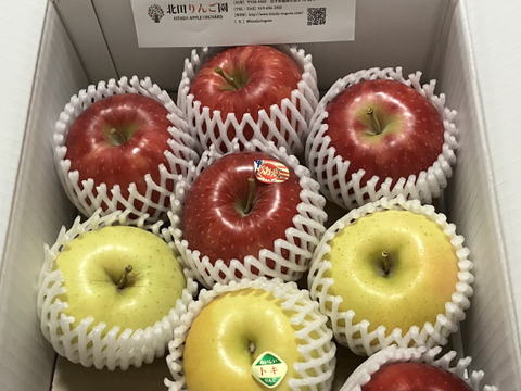 【家庭用】10月のりんごお楽しみBOX　約3kg（8～12個）