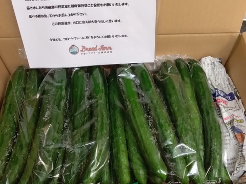朝採り！信州産きゅうりA品３ｋｇ