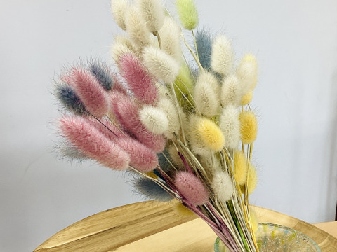 ‘‘ノウフク”カラフルラグラス100本束